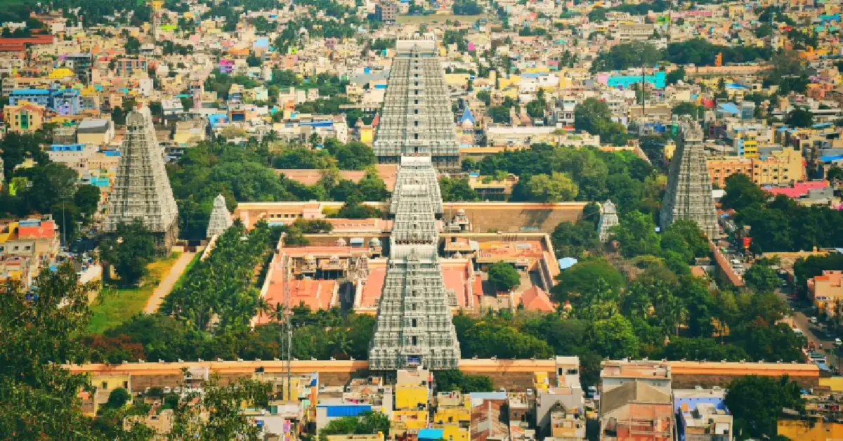 Real Estate Economics of Tamil Nadu
