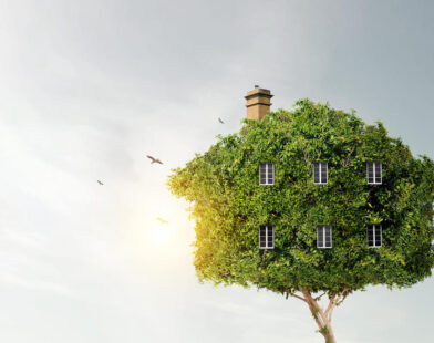 Guide to Eco-Friendly Materials & Decor for Sustainable Homes