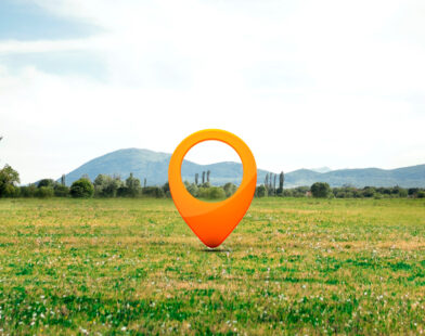 Branded Plots
