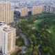 Camellias in Gurugram