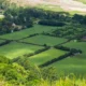 Punjab Govt revives 1997 land scheme