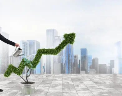 Investment opportunities