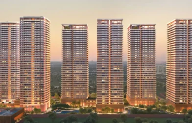 Max Estates