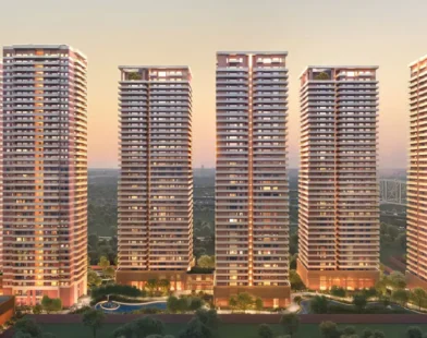 Max Estates