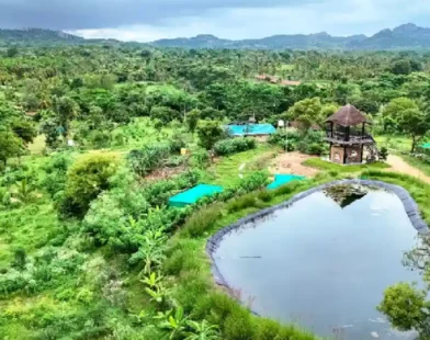 Hosachiguru