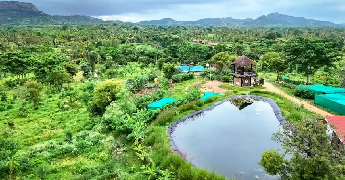 Hosachiguru
