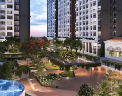 Listed real estate developers