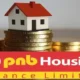 PNB Housing Finance 80x80