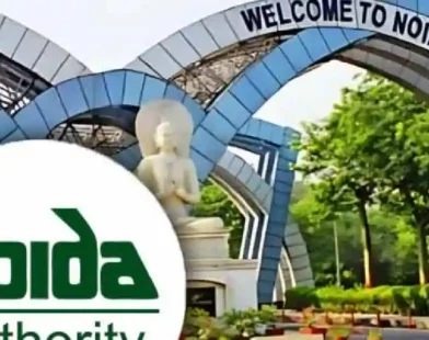Strict action against developers