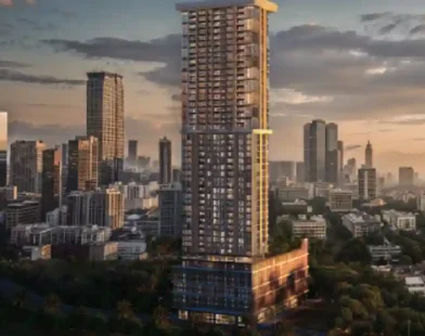 Tribeca Developers