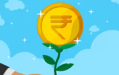 India Development and Strategic Fund