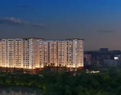 Real estate developers