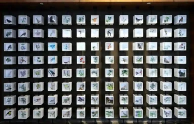 Shapoorji Pallonji Real Estate