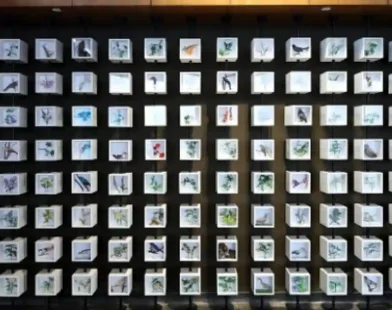 Shapoorji Pallonji Real Estate