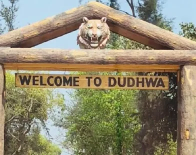Dudhwa National Park