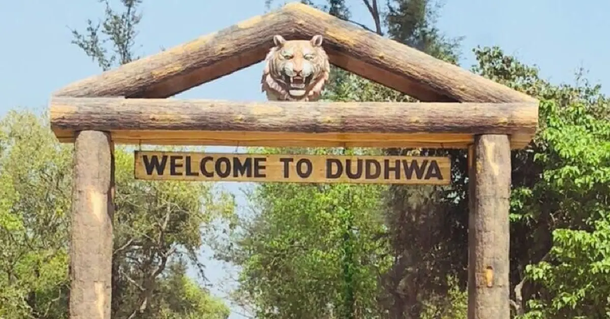 Dudhwa National Park