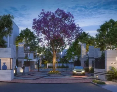 NVT Quality Lifestyle