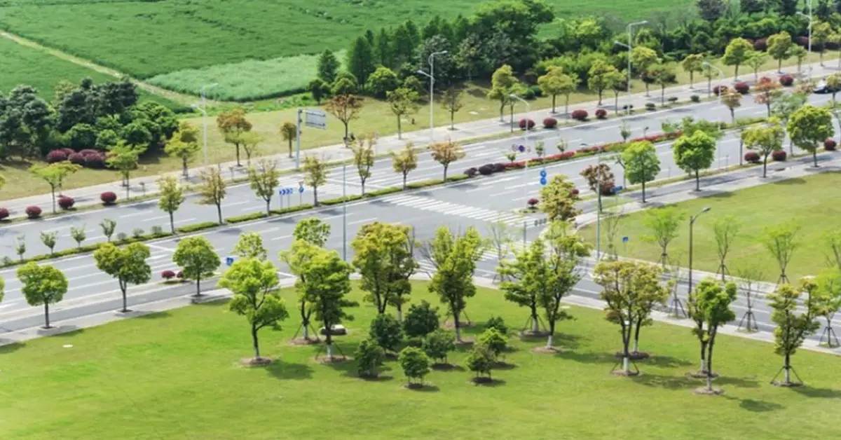 India’s real estate