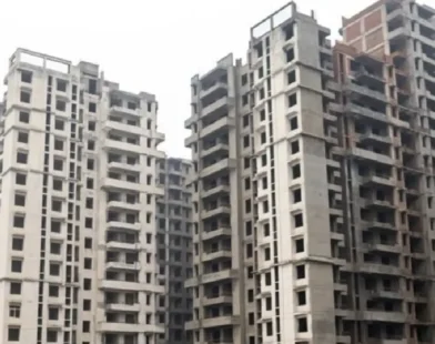 Real estate projects