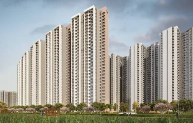 Residential real estate market