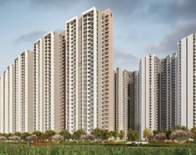 Residential real estate market