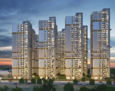 Luxury housing market