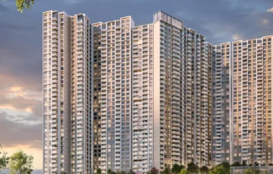 DLF