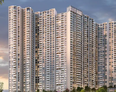 DLF