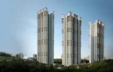 Divyansh Group