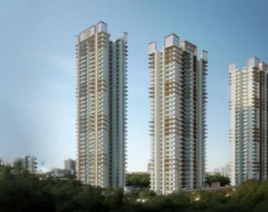 Divyansh Group