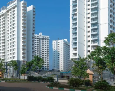 Puravankara