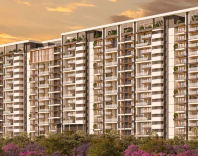 SNN Estates