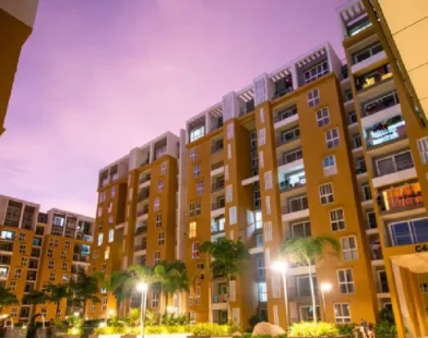 SNN Estates