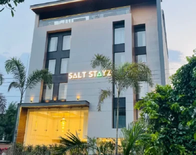 Saltstayz