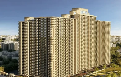 Saya Gold Avenue