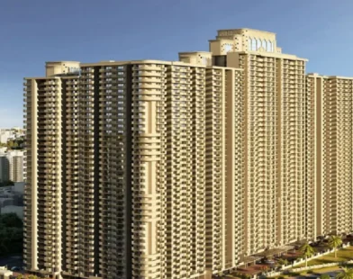 Saya Gold Avenue