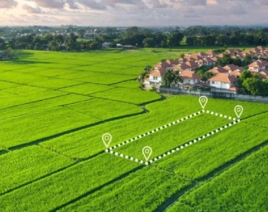 Blockchain law to tokenise land