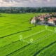 Blockchain law to tokenise land 80x80