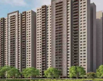 Lloyds Realty