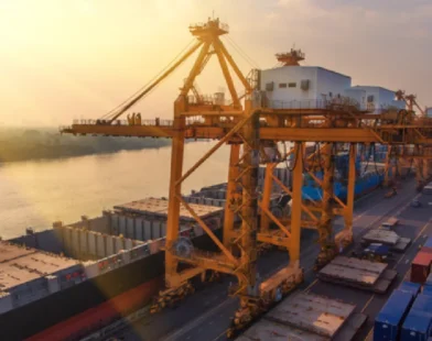 Marine export zones