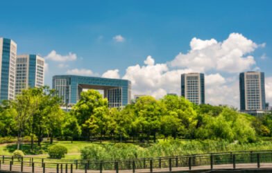 India's real estate