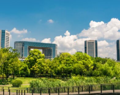 India's real estate