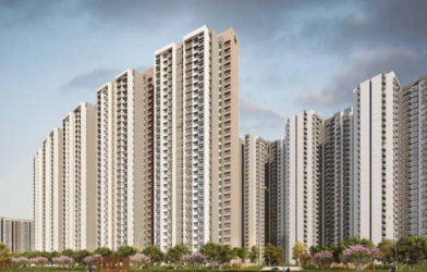 Indian real estate