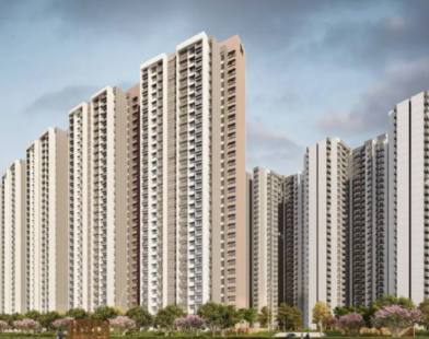 Indian real estate