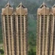 Gaurs Group 80x80