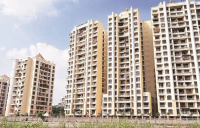 Max Estates