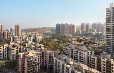 Lloyds Realty