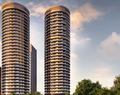 Max Estates